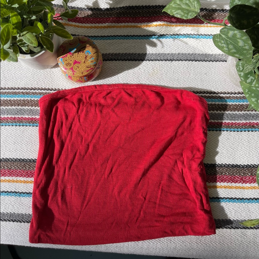 Brandy Melville red tube top